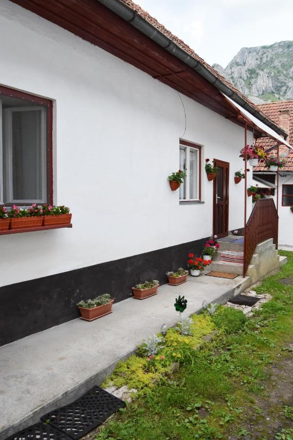 Casa De Vacanta Harsfa Vendeghaz Rimetea Exterior photo