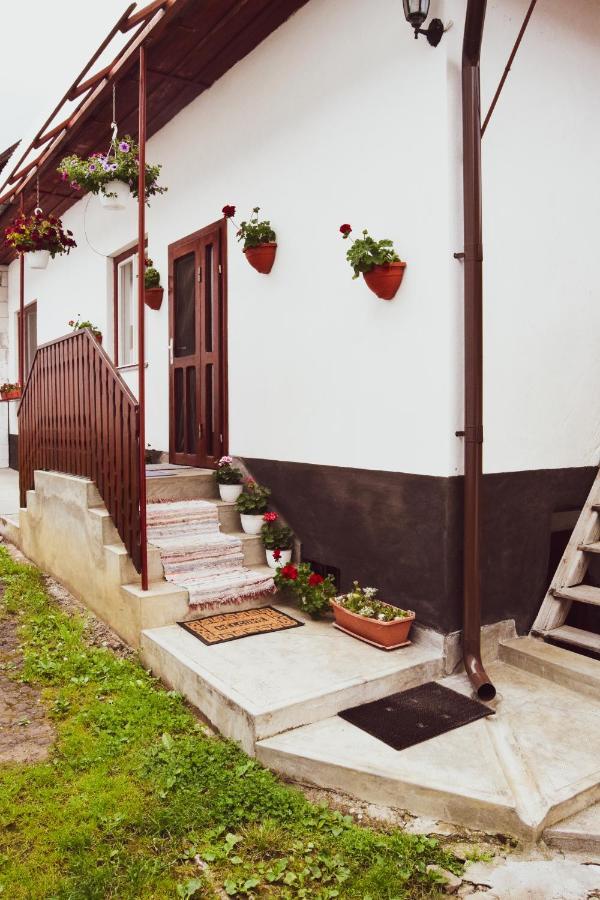 Casa De Vacanta Harsfa Vendeghaz Rimetea Exterior photo